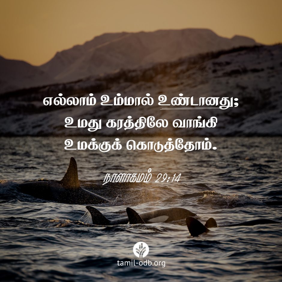 Share Tamil ODB 2024-01-04