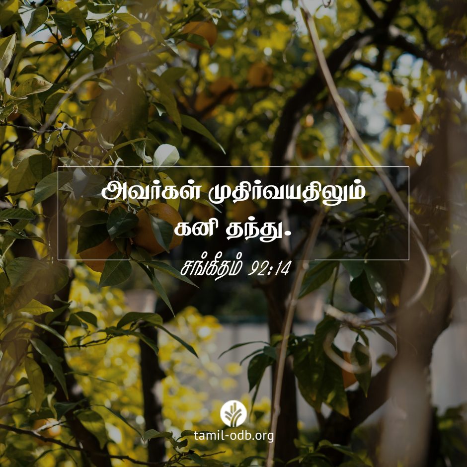 Share Tamil ODB 2024-01-19