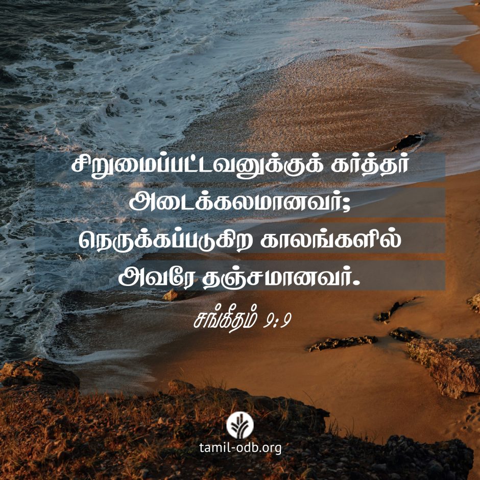 Share Tamil ODB 2024-01-20