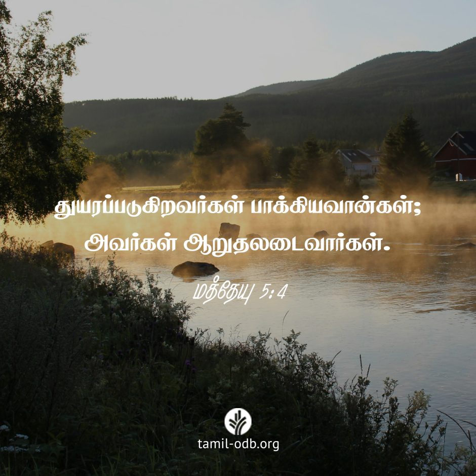 Share Tamil ODB 2025-02-02 Share Tamil ODB 2025-02-02