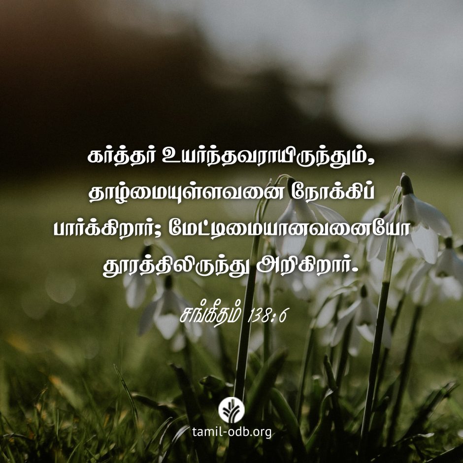 Share Tamil ODB 2025-02-03 Share Tamil ODB 2025-02-03