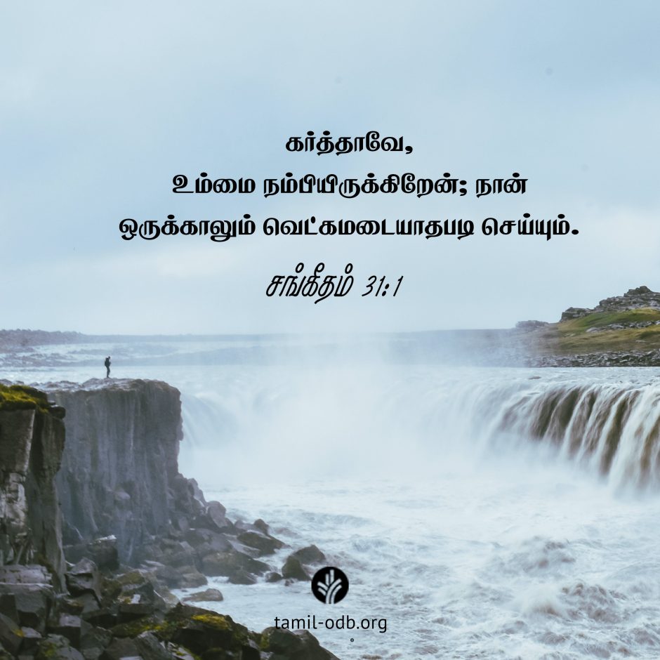 Share Tamil ODB 2025-02-04 Share Tamil ODB 2025-02-04