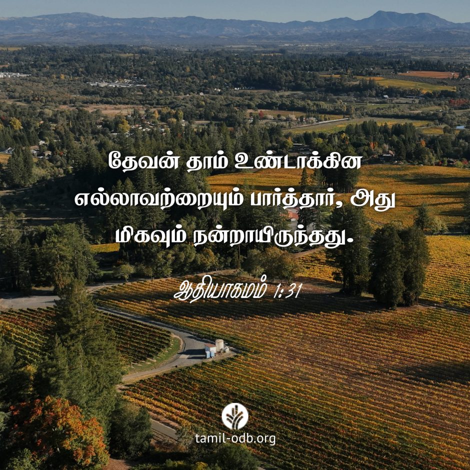 Share Tamil ODB 2025-02-06 Share Tamil ODB 2025-02-06