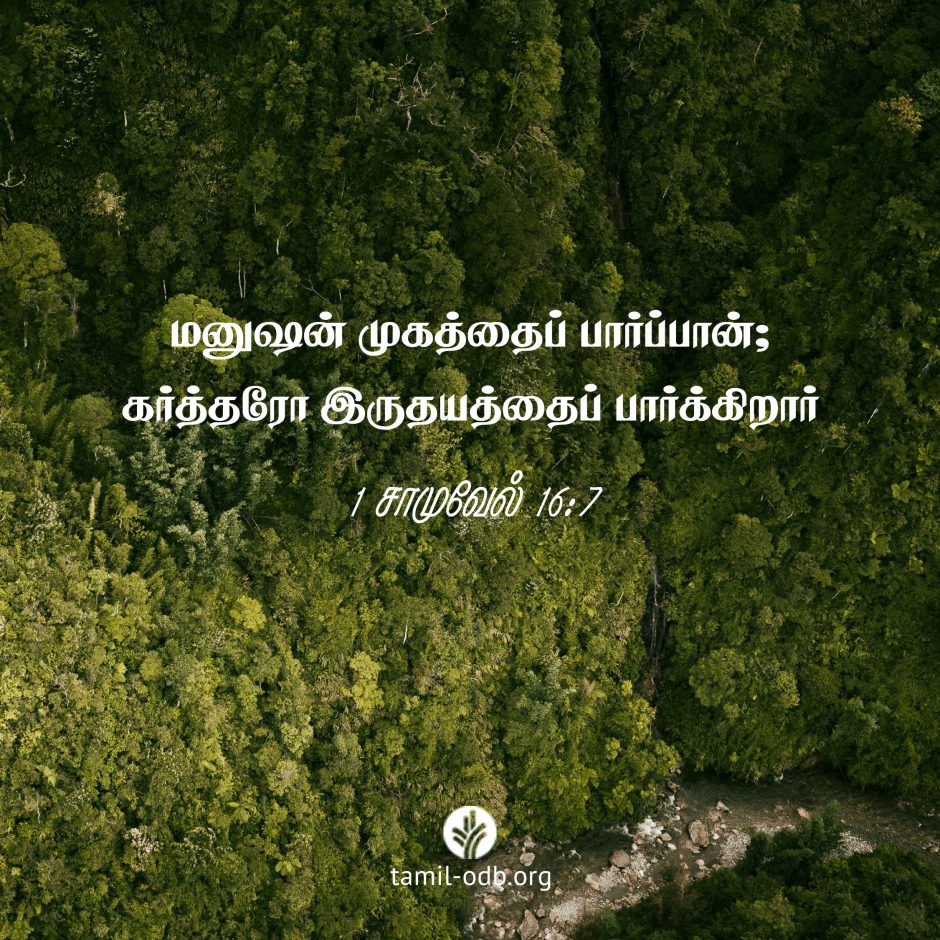 Share Tamil ODB 2025-02-07 Share Tamil ODB 2025-02-07