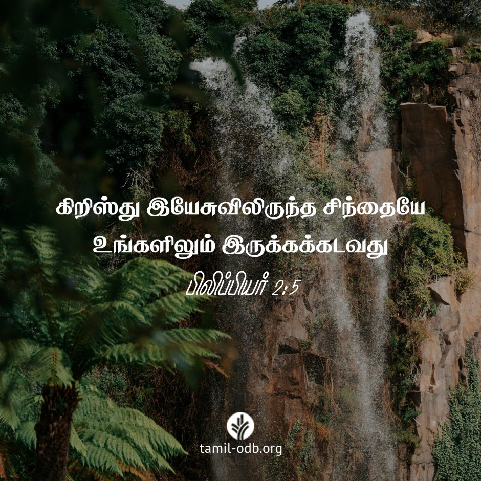 Share Tamil ODB 2025-02-08 Share Tamil ODB 2025-02-08