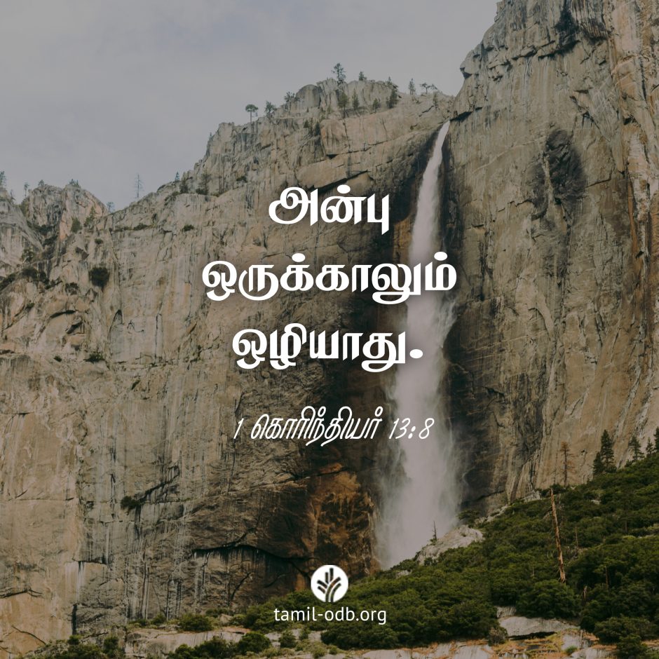 Share Tamil ODB 2024-02-14 Share Tamil ODB 2024-02-14