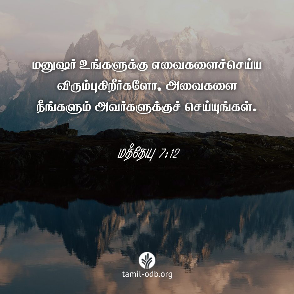 Share Tamil ODB 2025-02-16 Share Tamil ODB 2025-02-16