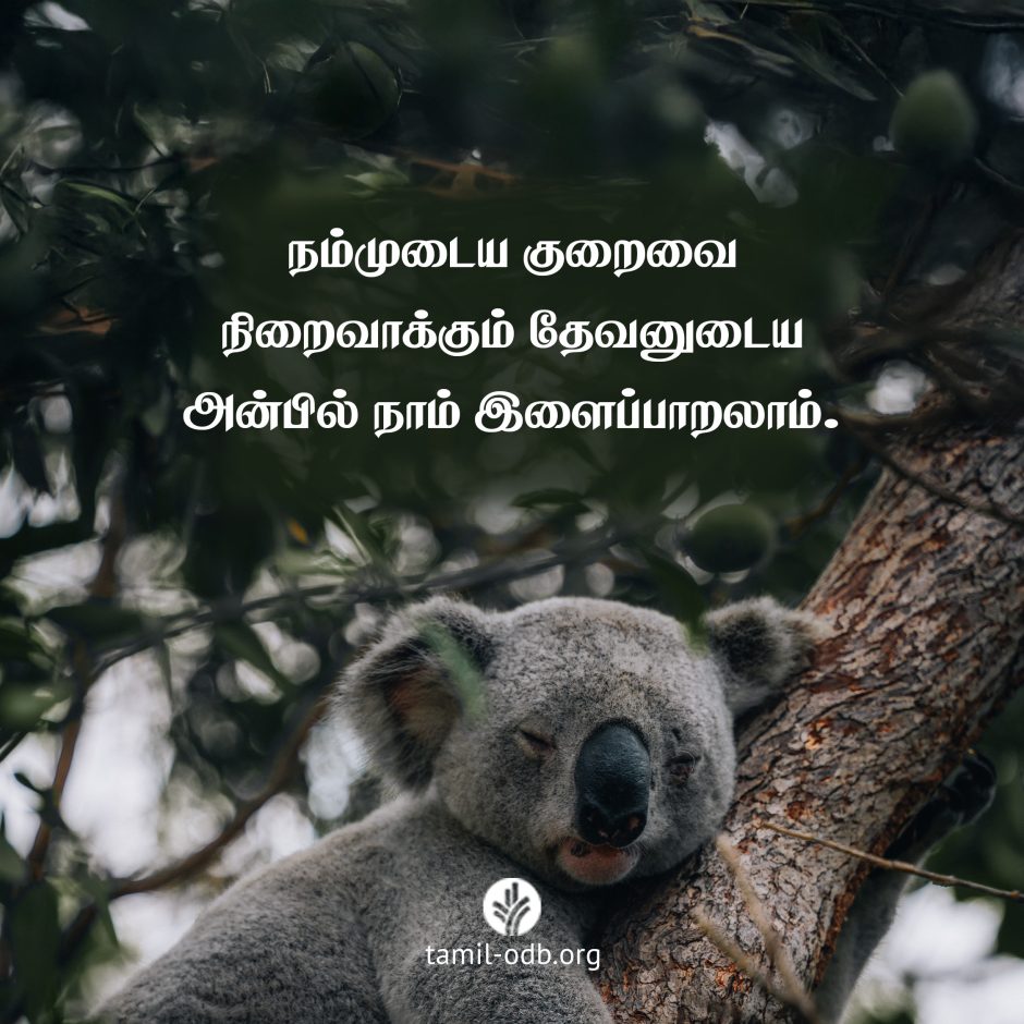 Share Tamil ODB 2025-02-19 Share Tamil ODB 2025-02-19