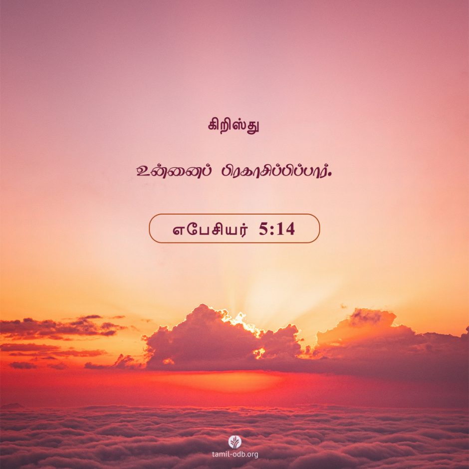 Share Tamil ODB 2025-05-23 Share Tamil ODB 2025-05-23