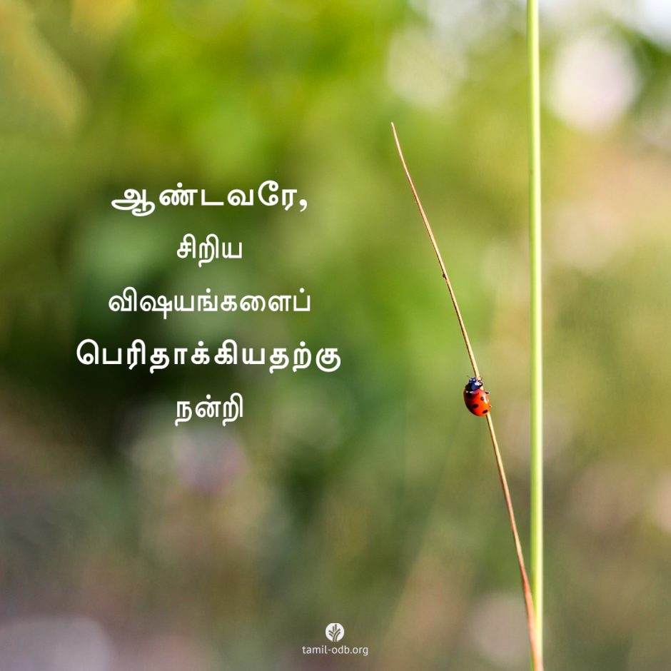Share Tamil ODB 2025-05-27 Share Tamil ODB 2025-05-27