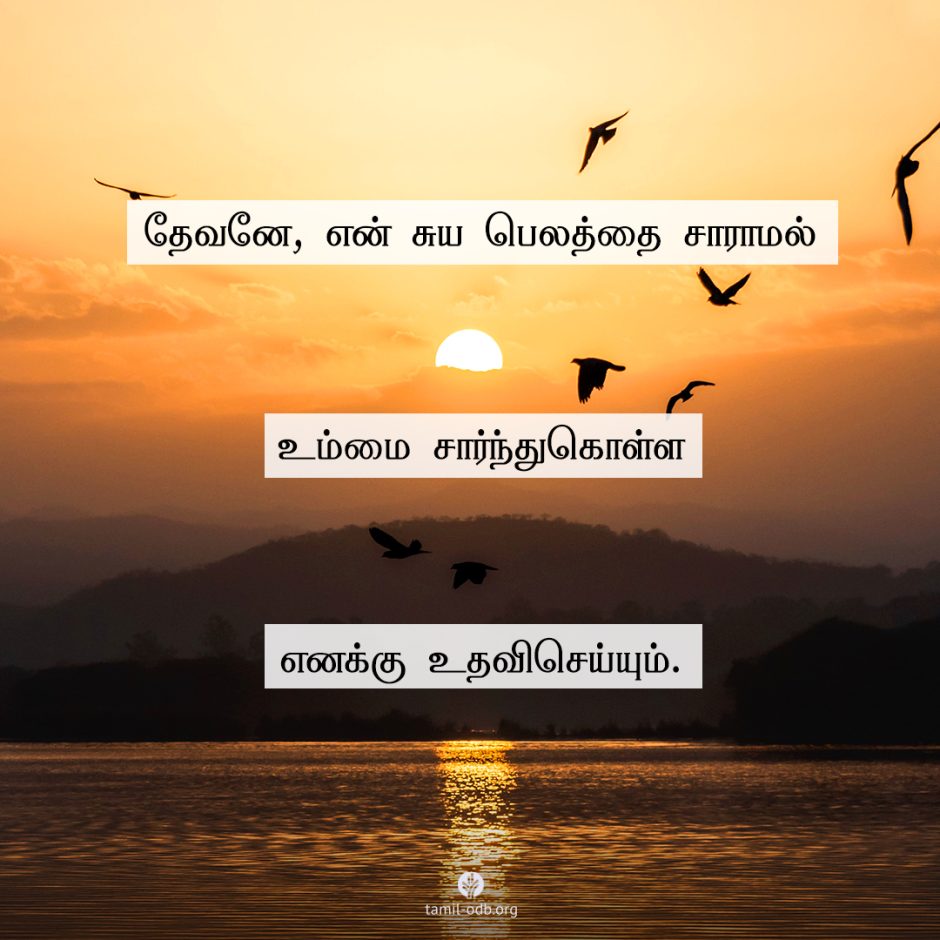 Share Tamil ODB 2025-05-28 Share Tamil ODB 2025-05-28