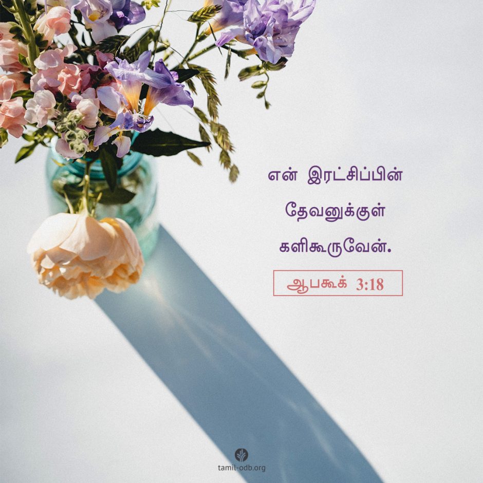 Share Tamil ODB 2025-05-29 Share Tamil ODB 2025-05-29