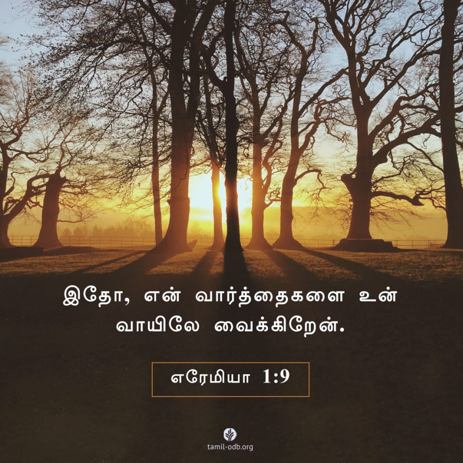 Share Tamil ODB 2025-06-17 Share Tamil ODB 2025-06-17