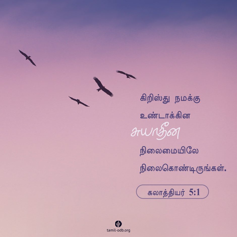 Share Tamil ODB 2025-06-19 Share Tamil ODB 2025-06-19