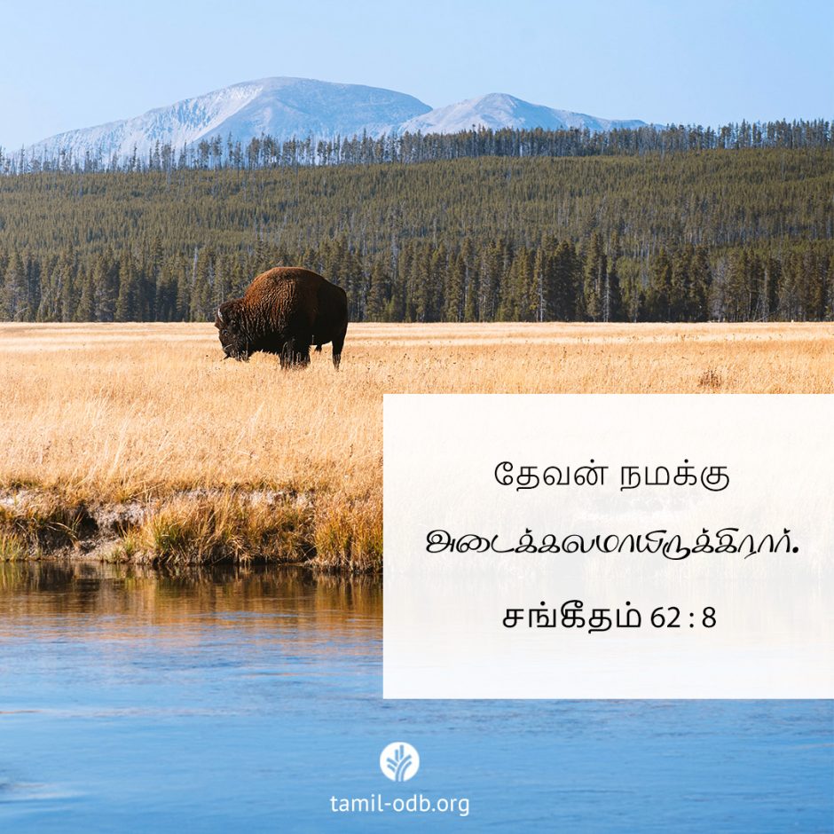 Share Tamil ODB 2025-07-02