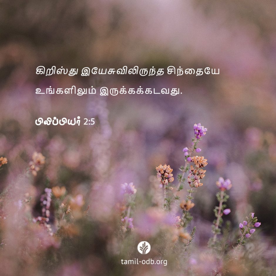Share Tamil ODB 2025-07-20