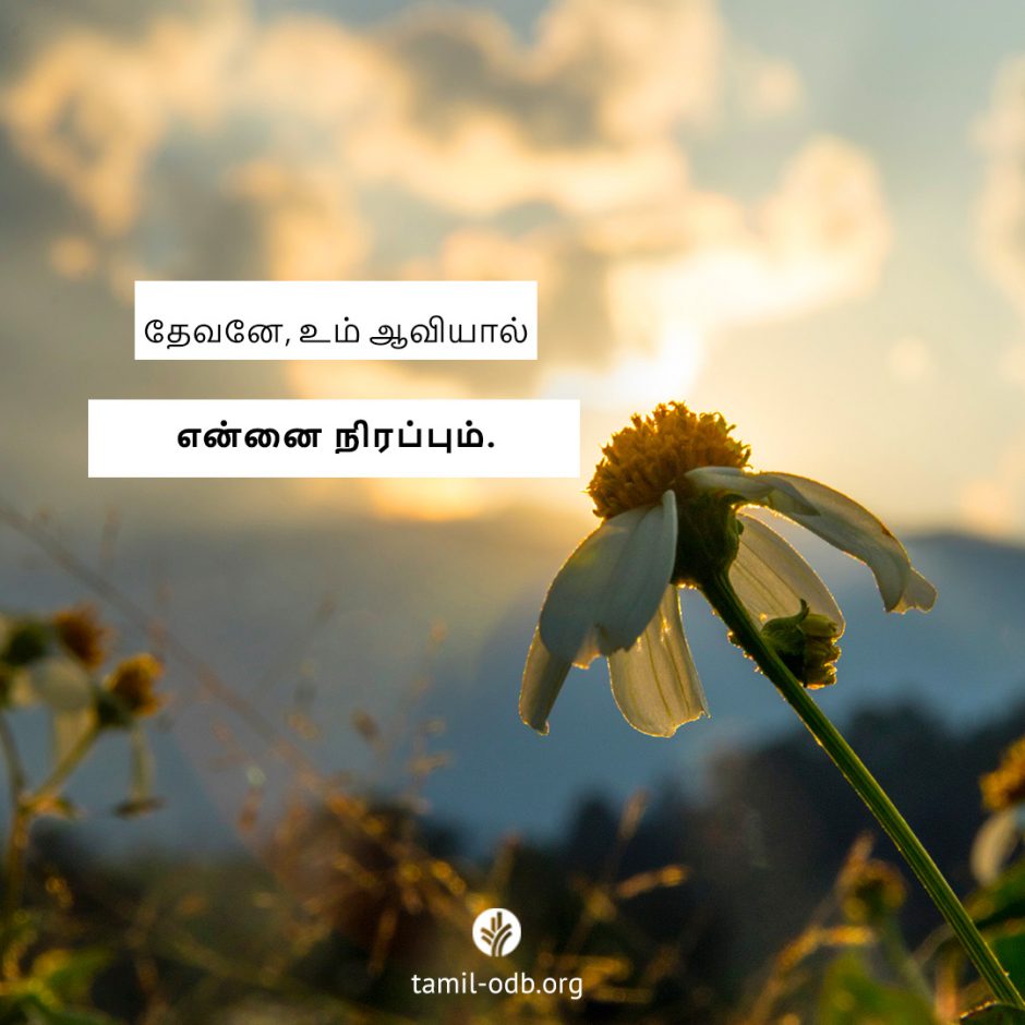 Share Tamil ODB 2025-07-22