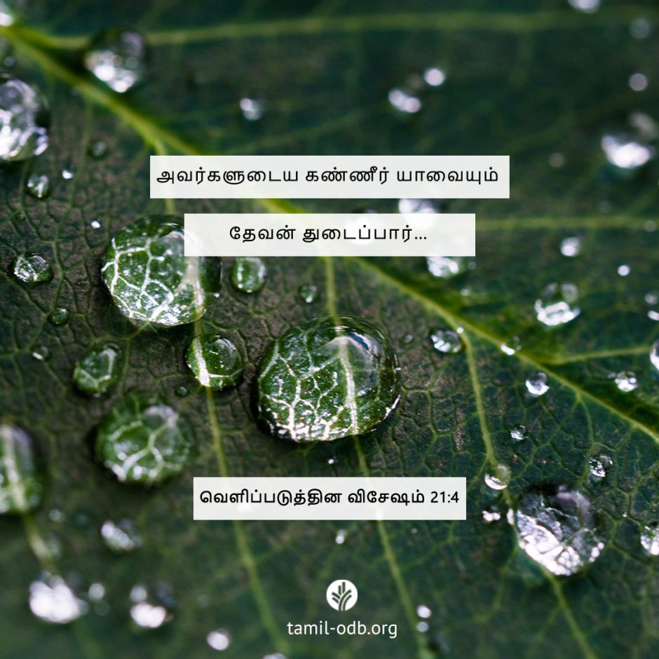 Share Tamil ODB 2025-07-25 Share Tamil ODB 2025-07-25