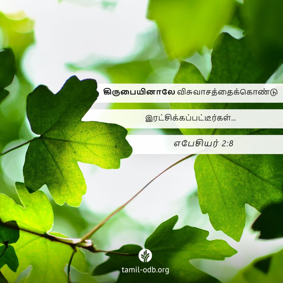 Share Tamil ODB 2025-07-27 Share Tamil ODB 2025-07-27