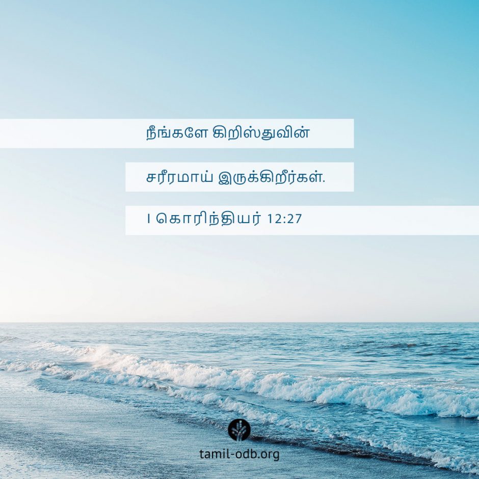 Share Tamil ODB 2025-07-30 Share Tamil ODB 2025-07-30