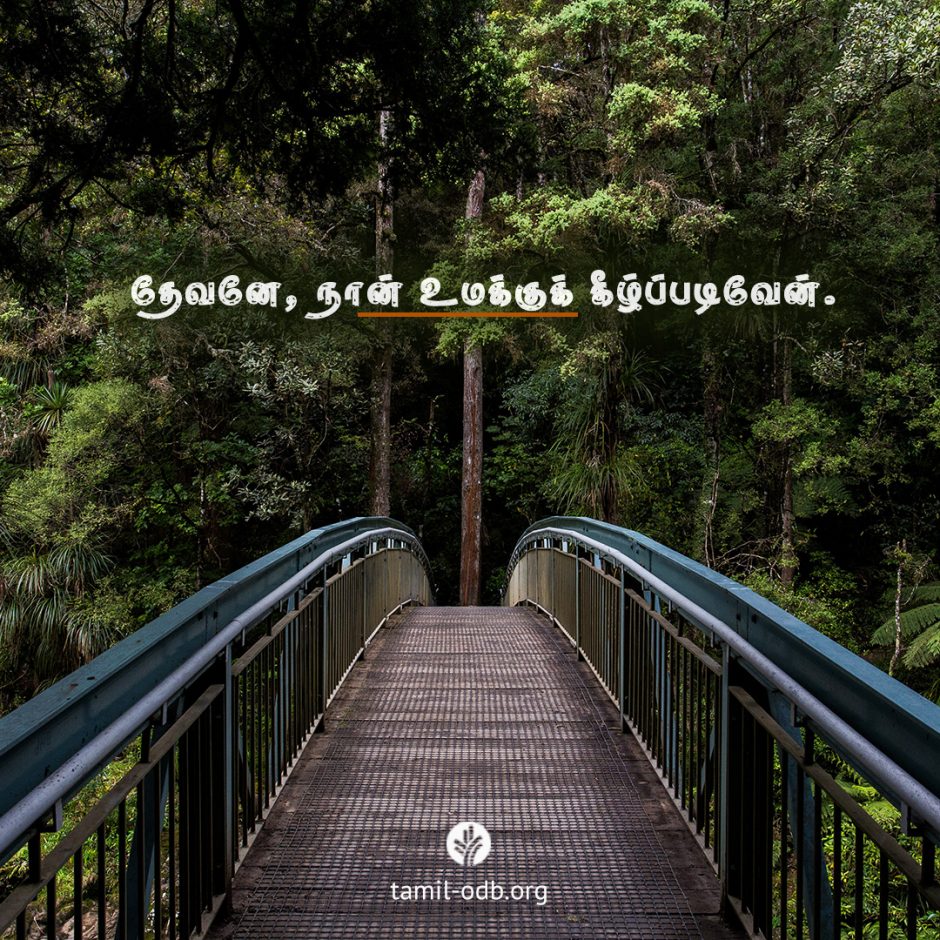 Share Tamil ODB 2025-07-31 Share Tamil ODB 2025-07-31