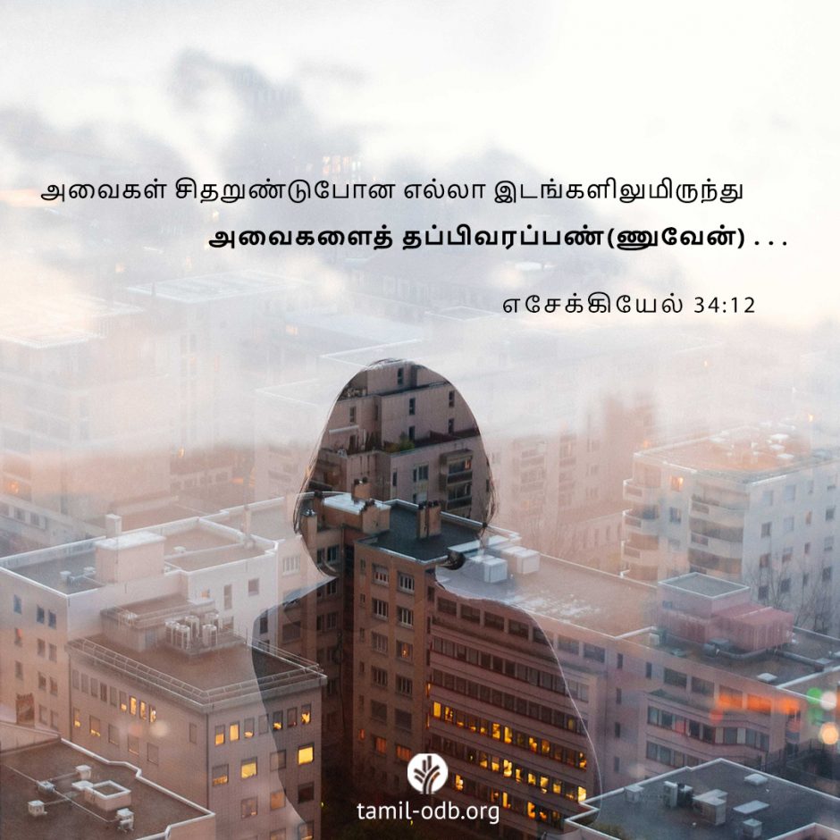 Share Tamil ODB 2025-08-02 Share Tamil ODB 2025-08-02