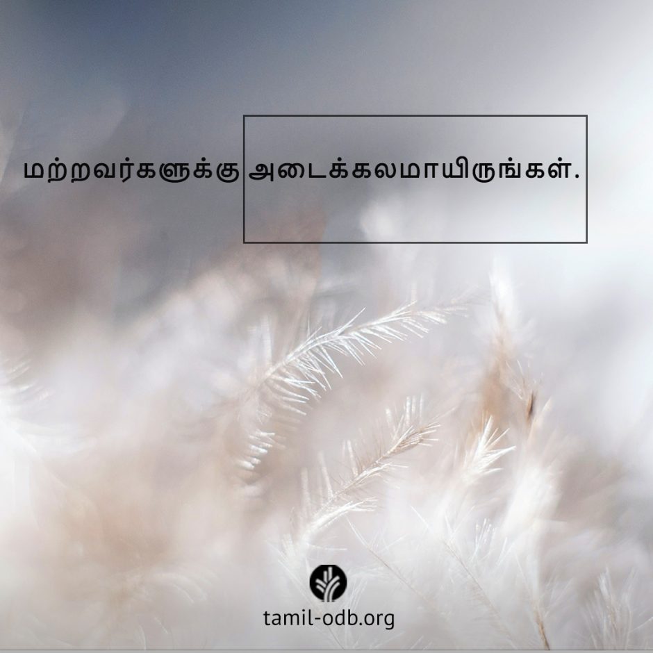 Share Tamil ODB 2025-08-04 Share Tamil ODB 2025-08-04
