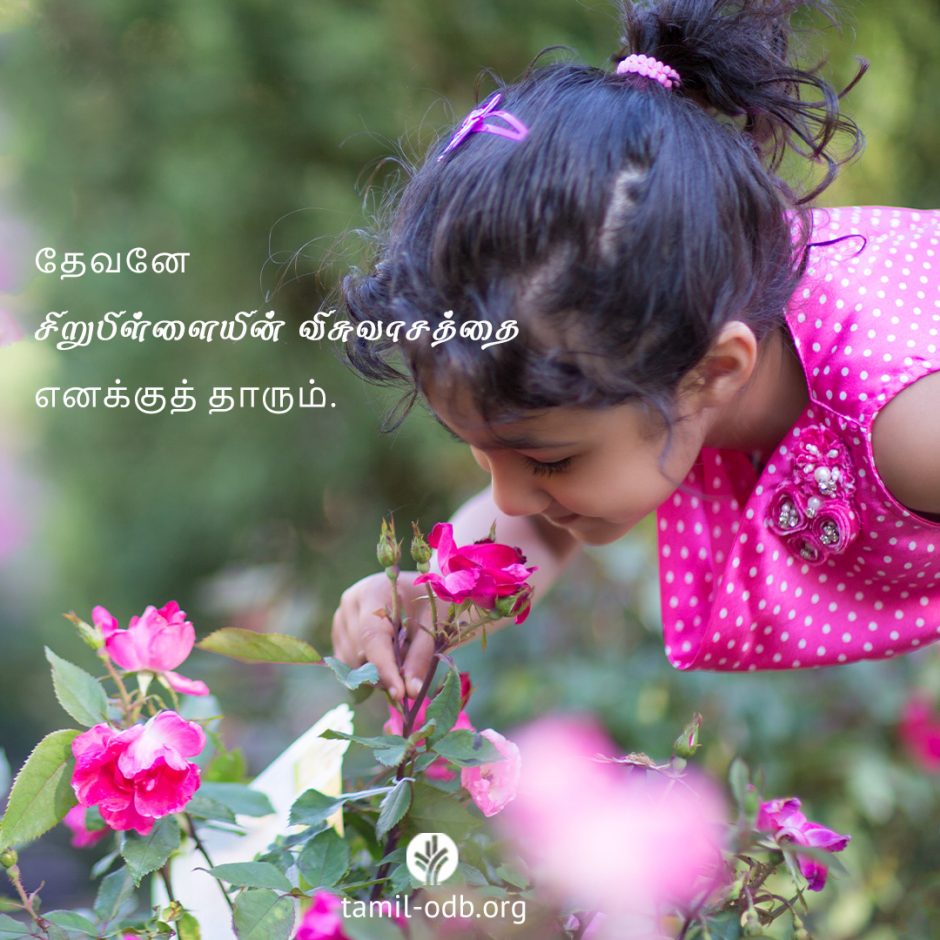 Share Tamil ODB 2025-08-01 Share Tamil ODB 2025-08-01