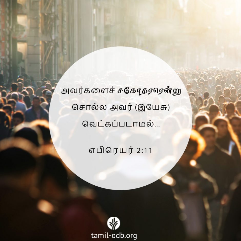 Share Tamil ODB 2025-08-15 Share Tamil ODB 2025-08-15