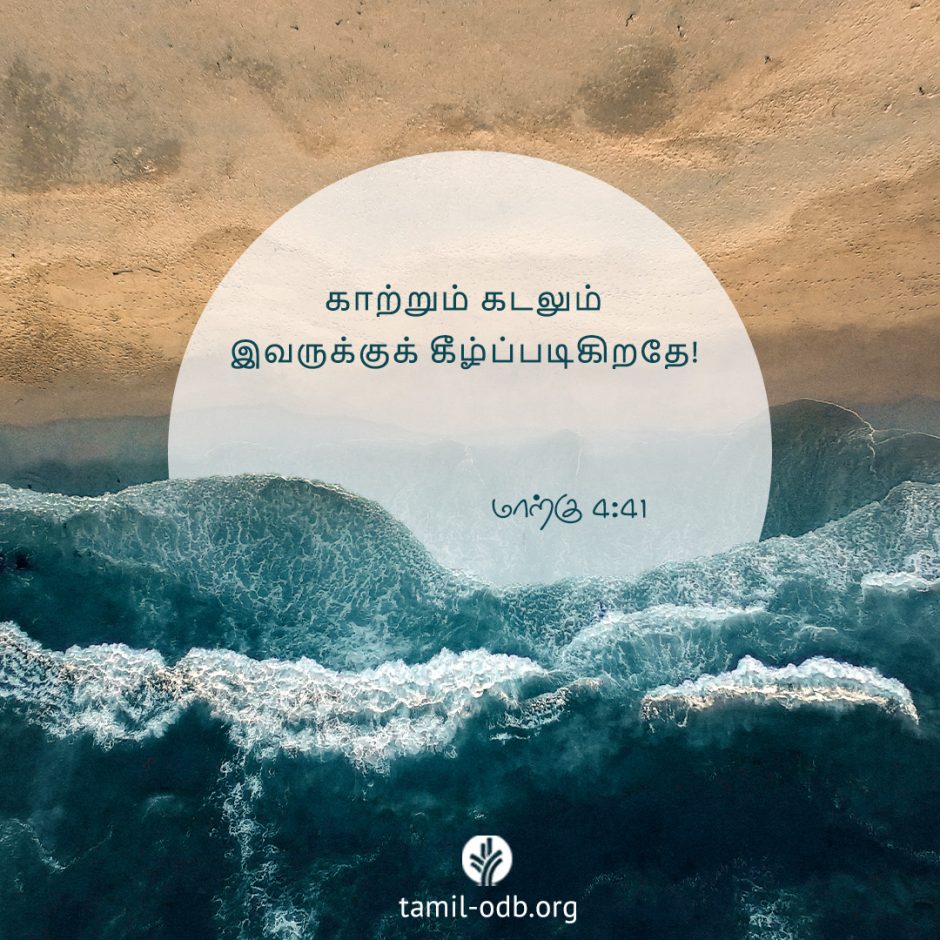 Share Tamil ODB 2025-08-19 Share Tamil ODB 2025-08-19