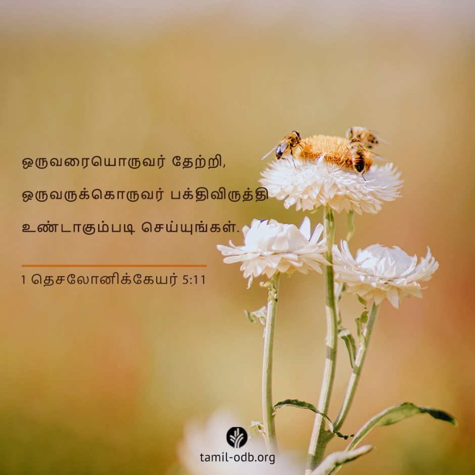 Share Tamil ODB 2025-08-21 Share Tamil ODB 2025-08-21