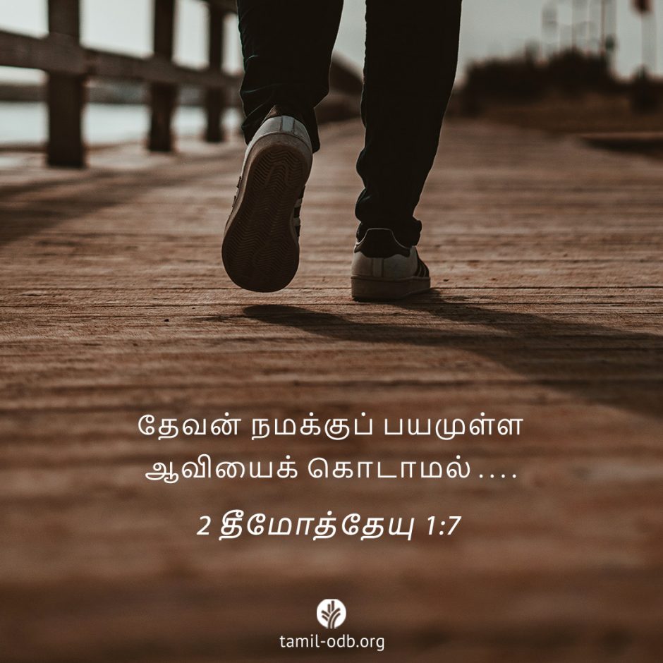 Share Tamil ODB 2025-08-24 Share Tamil ODB 2025-08-24