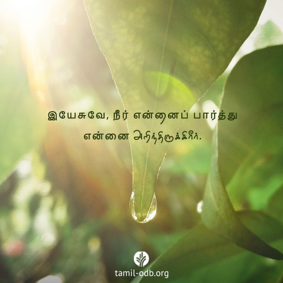 Share Tamil ODB 2025-08-25 Share Tamil ODB 2025-08-25