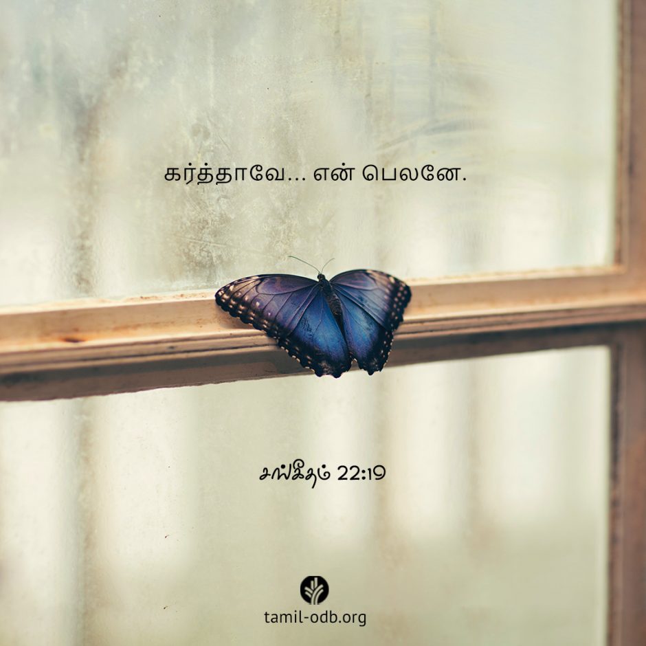 Share Tamil ODB 2025-08-26 Share Tamil ODB 2025-08-26