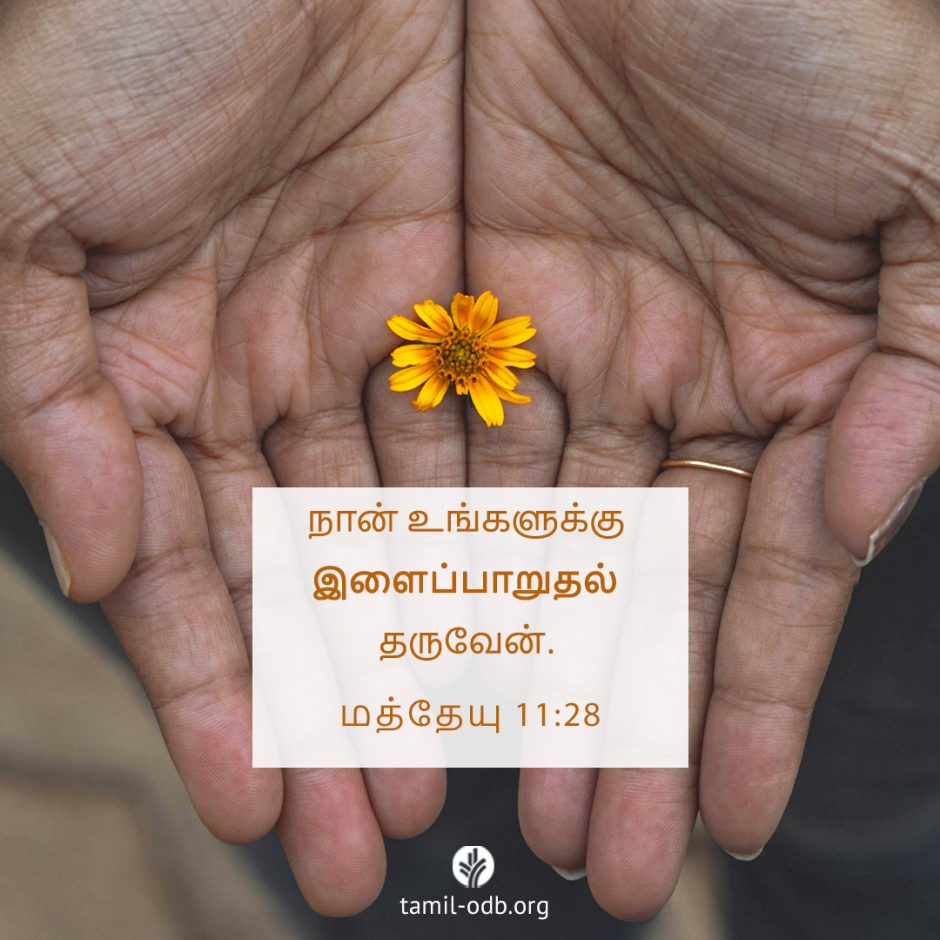 Share Tamil ODB 2025-08-29 Share Tamil ODB 2025-08-29