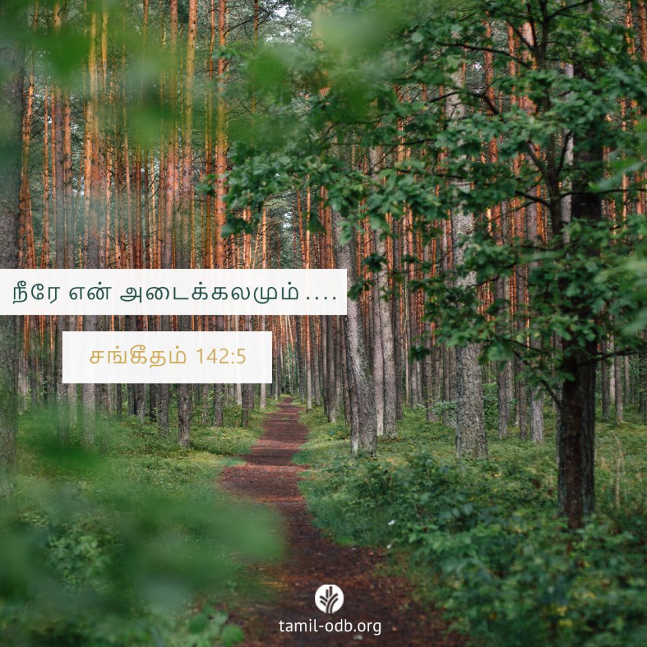 Share Tamil ODB 2025-08-31 Share Tamil ODB 2025-08-31