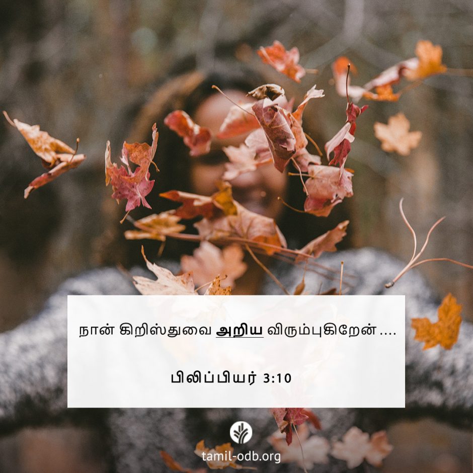 Share Tamil ODB 2025-09-06 Share Tamil ODB 2025-09-06