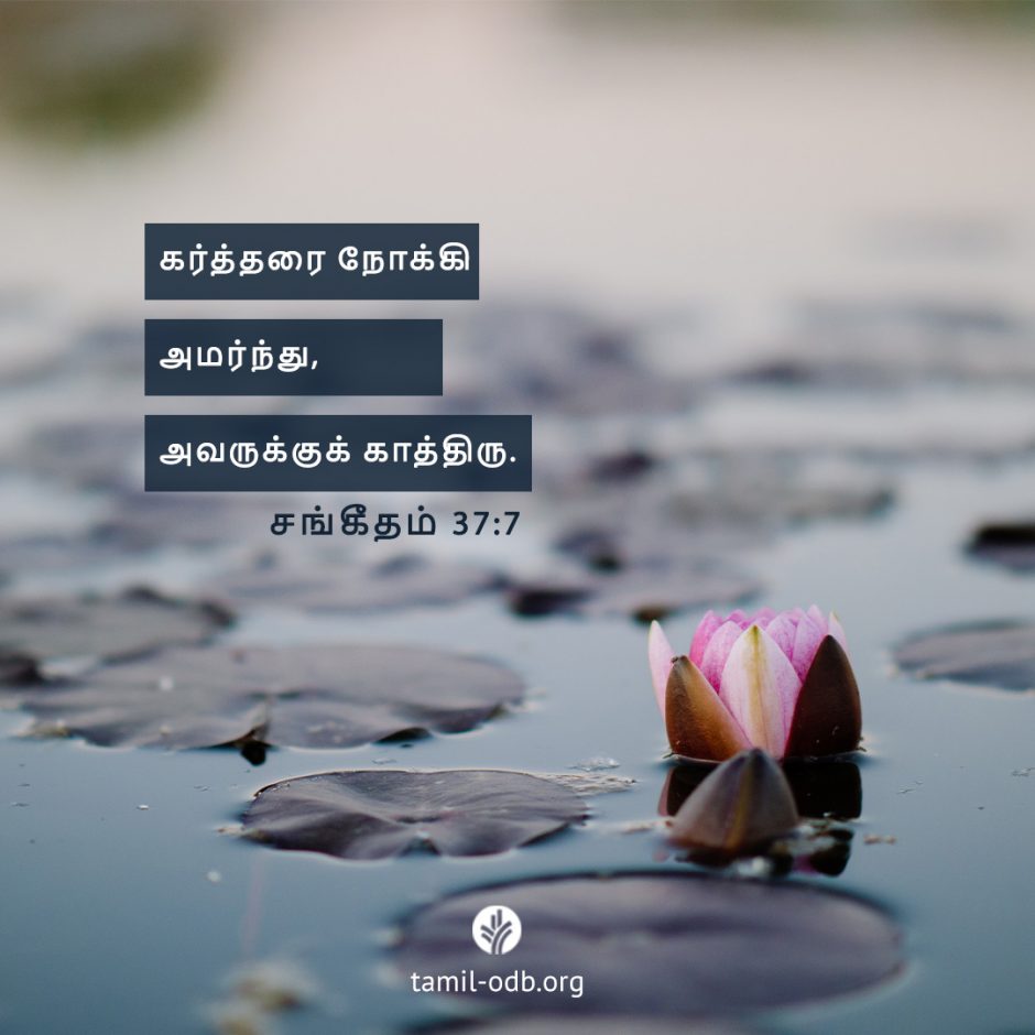 Share Tamil ODB 2025-09-12 Share Tamil ODB 2025-09-12