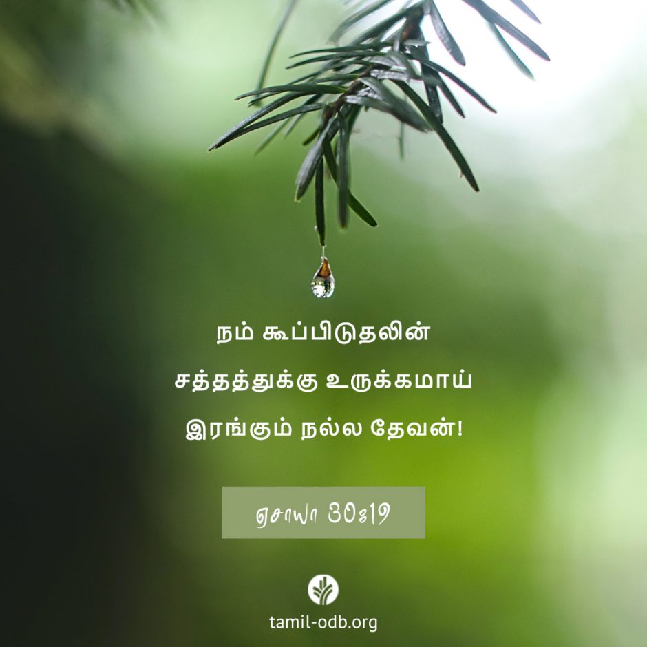 Share Tamil ODB 2025-09-26 Share Tamil ODB 2025-09-26