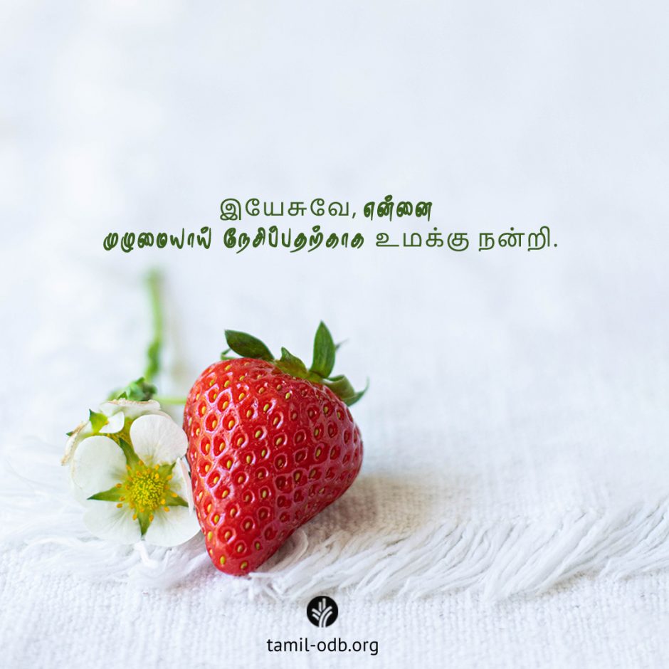 Share Tamil ODB 2025-09-28 Share Tamil ODB 2025-09-28