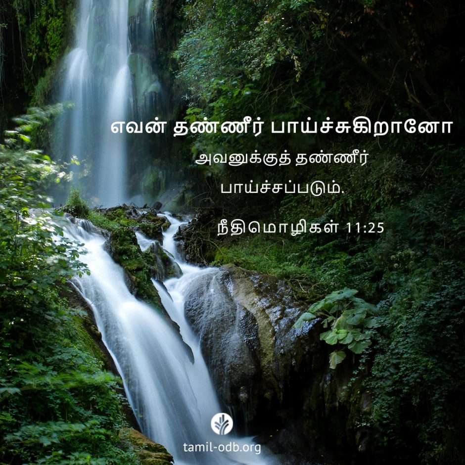 Share Tamil ODB 2025-09-29 Share Tamil ODB 2025-09-29