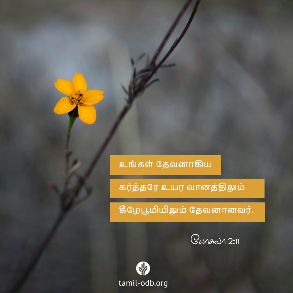 Share Tamil ODB 2025-09-30 Share Tamil ODB 2025-09-30