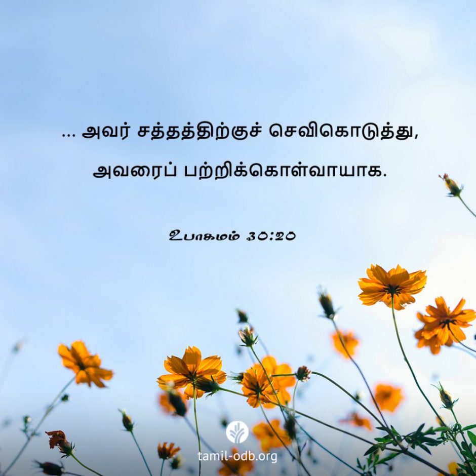 Share Tamil ODB 2025-10-07