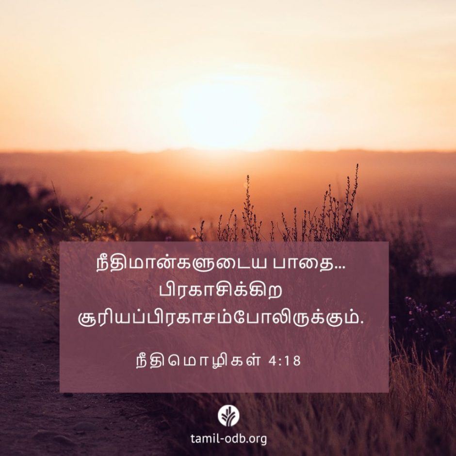 Share Tamil ODB 2025-10-08 Share Tamil ODB 2025-10-08