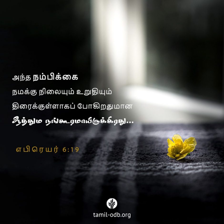 Share Tamil ODB 2025-10-17