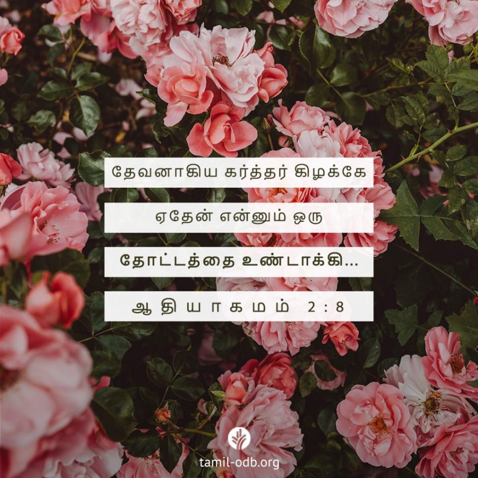 Share Tamil ODB 2025-10-20