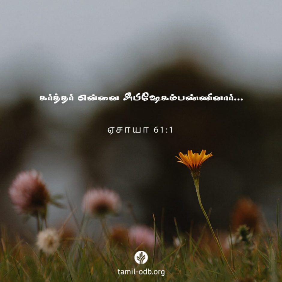 Share Tamil ODB 2025-10-26