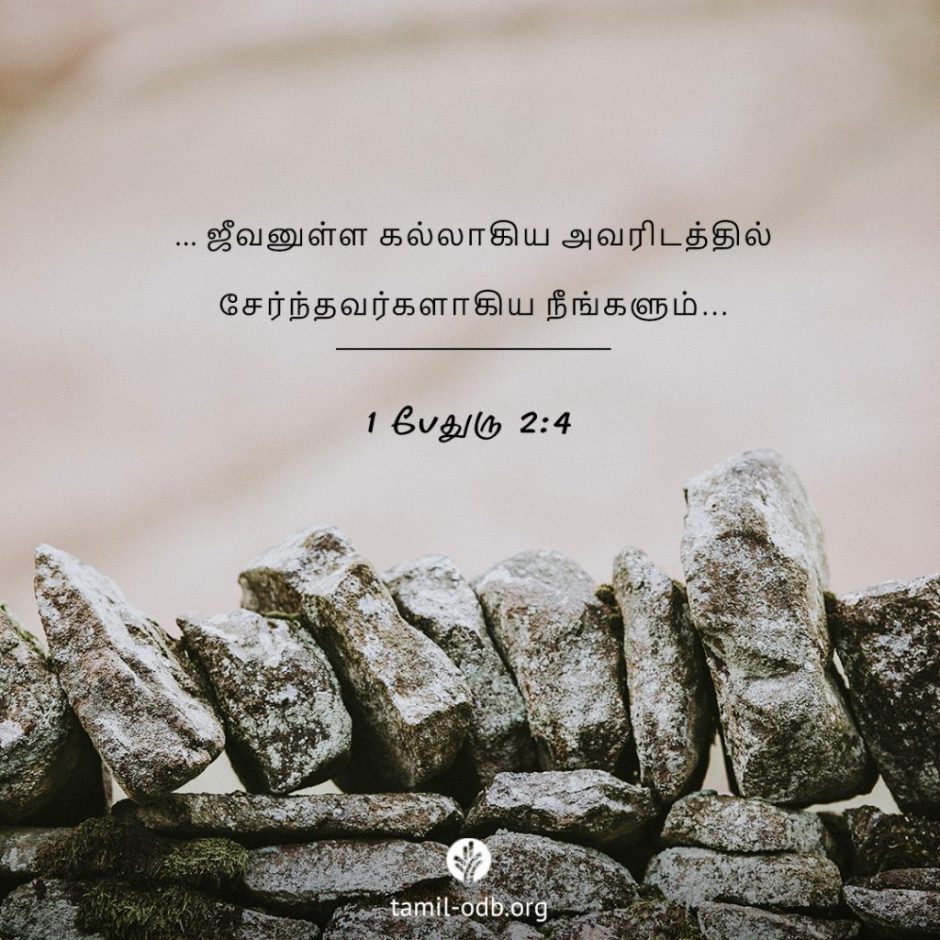 Share Tamil ODB 2025-10-28 Share Tamil ODB 2025-10-28