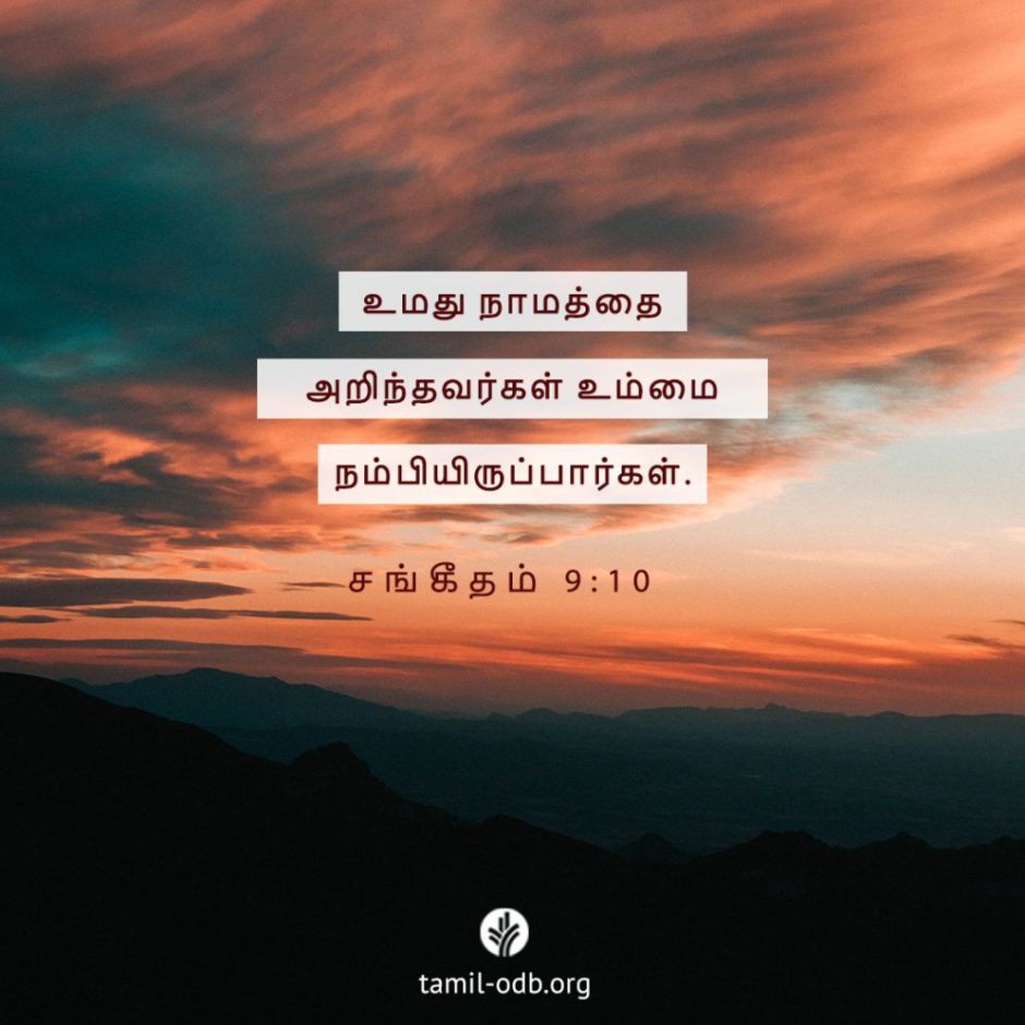 Share Tamil ODB 2025-10-29 Share Tamil ODB 2025-10-29