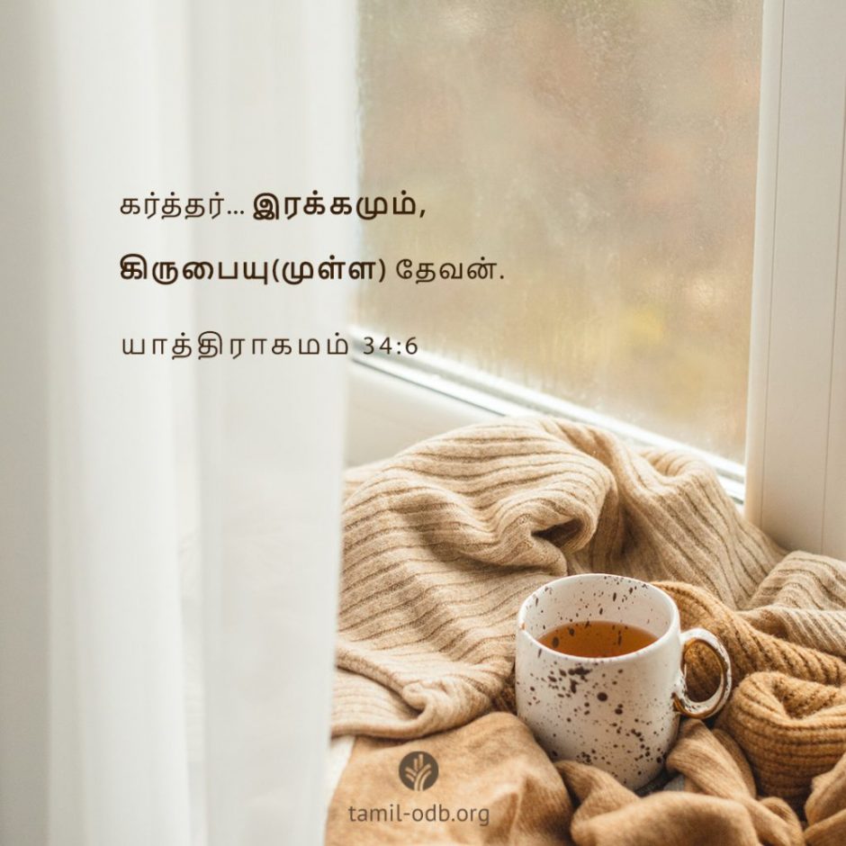 Share Tamil ODB 2025-10-30 Share Tamil ODB 2025-10-30